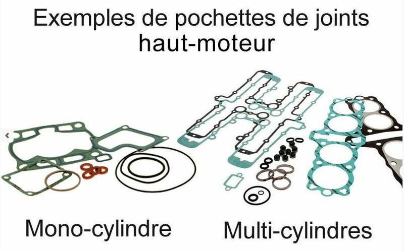 Kit completo de juntas CENTAURO