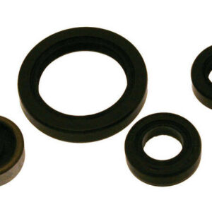 Kit de retenes de motor CENTAURO