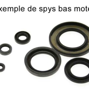 Kit de retenes de motor CENTAURO