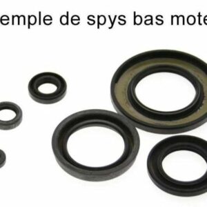 Kit de retenes de motor CENTAURO