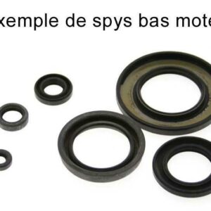 Kit de retenes de motor CENTAURO