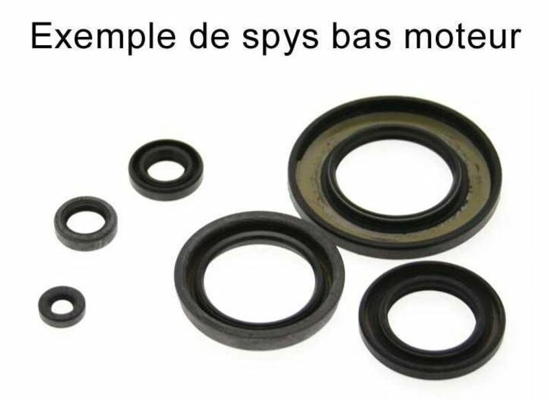 Kit de retenes de motor CENTAURO