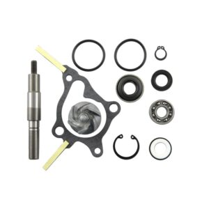 Set repara eje bomba de agua V PARTS