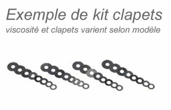 Kit mejora horquilla Racing Bitubo KFORK024WO