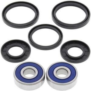 Kit rodamientos de rueda All Balls 25-1311