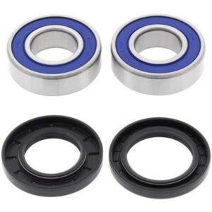 Kit de rodamientos de rueda All Balls 25-1648