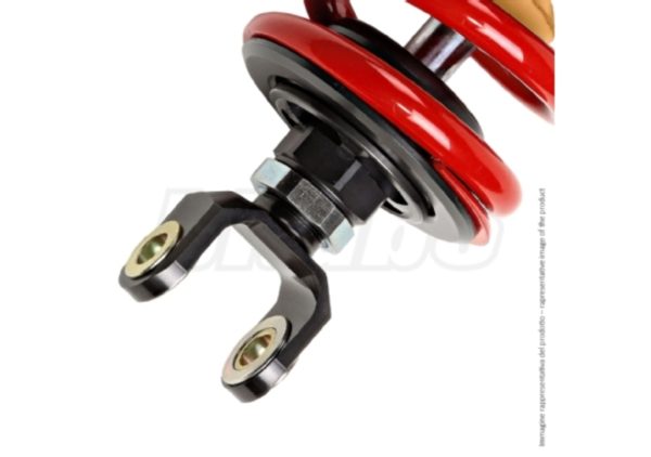 BITUB REAR SHOCK XXF31 IN002XXF31