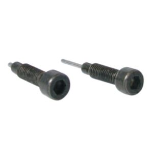 Set dos tornillos de recambio para herramienta cadenas distribución BUZZETTI