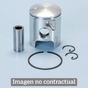 Pistón Polini Quartz-ZIP Ø47.6, tipo D (204.0697/D)