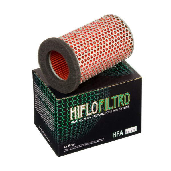 Filtro de Aire Hiflofiltro HFA1613