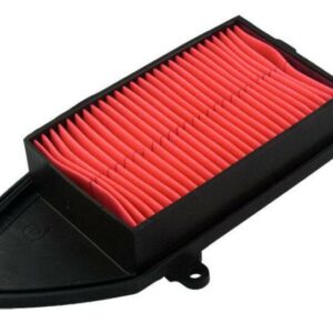 Filtro de aire HIFLOFILTRO - HFA5001