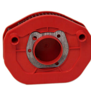 Filtro de aire BMC - FM01066