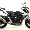 Arrow Silencioso Race-Tech de aluminio fondo en carbono 71776AK - Imagen 2