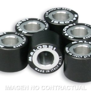 Rodillos Htroll 19X17 12,5GR