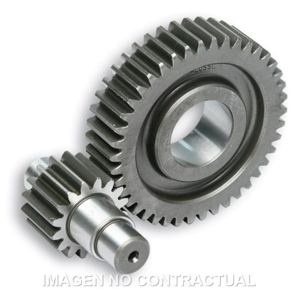 Desarrollo Secundario Largo C/Jaula D.17mm Zip Fast Rider