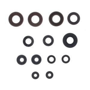 Kit de retenes de motor CENTAURO