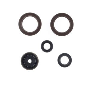 Kit de retenes de motor CENTAURO