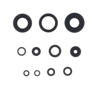 Kit de retenes de motor CENTAURO