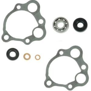 Kit reparación bomba de agua Centauro CR250 85-91 666A005WP
