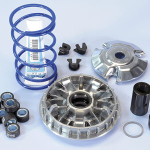 Variador Polini HI-SPEED PIAG. 200/250/300 9R. (241665)