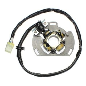 Estátor ELECTROSPORT - KTM ESC221