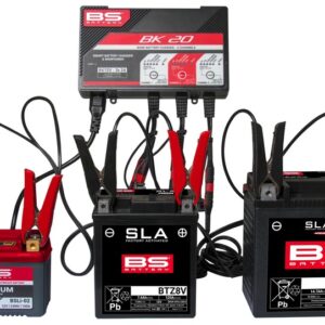 Cargador de bateria inteligente BS Battery BK20 6V/12V 3x2A