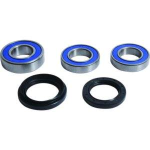 Kit de rodamientos de rueda trasera ALL BALLS 25-1814