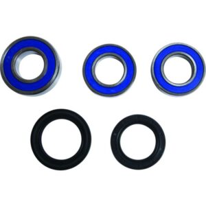 Kit de rodamientos de rueda trasera ALL BALLS 25-1814