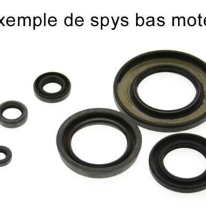 Kit de retenes de motor CENTAURO