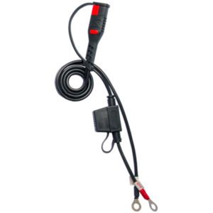 Cargador de bateria inteligente BS BATTERY BS15