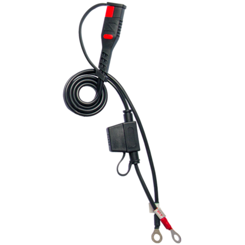 Cargador de bateria inteligente BS BATTERY BS15