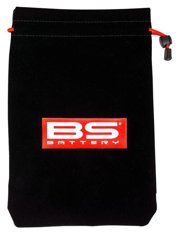 Cargador de bateria inteligente BS BATTERY BS15