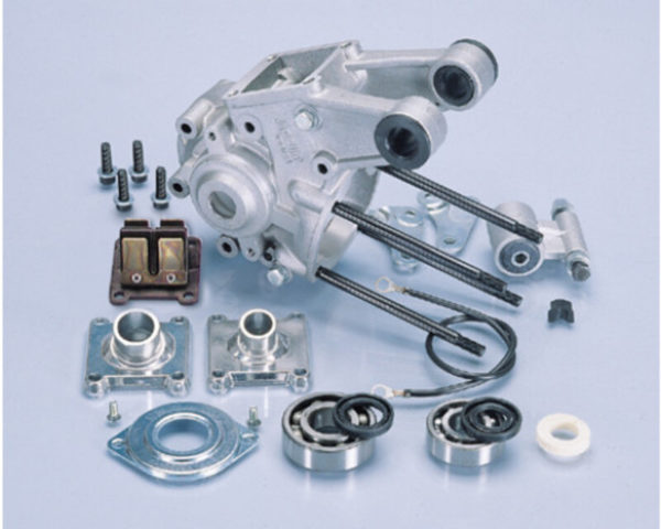 Cárter motor POLINI con soporte
