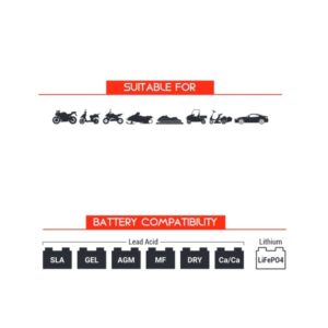 Cable de conexión permanente con fusible BS BATTERY PA-01 - Bote de 20 unidades