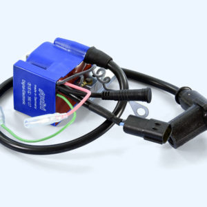 Bobina programable estátor PVL POLINI