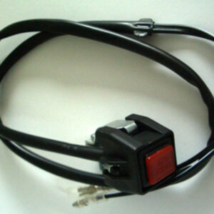 Botonera HIGHSIDER smart de arranque / claxon
