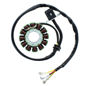 Estátor ELECTROSPORT ESG169