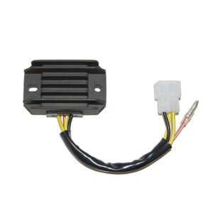 Regulador ELECTROSPORT ESR600