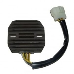 Regulador ELECTROSPORT ESR263