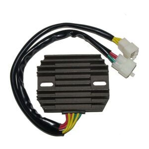 Regulador ELECTROSPORT ESR531