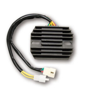 Regulador ELECTROSPORT ESR539