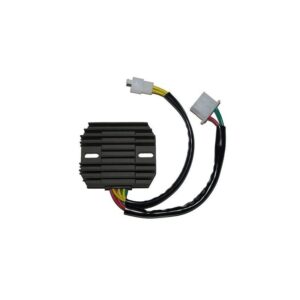 Regulador ELECTROSPORT ESR640