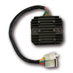Regulador ELECTROSPORT ESR672