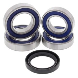 Kit rodamientos de rueda ALL BALLS