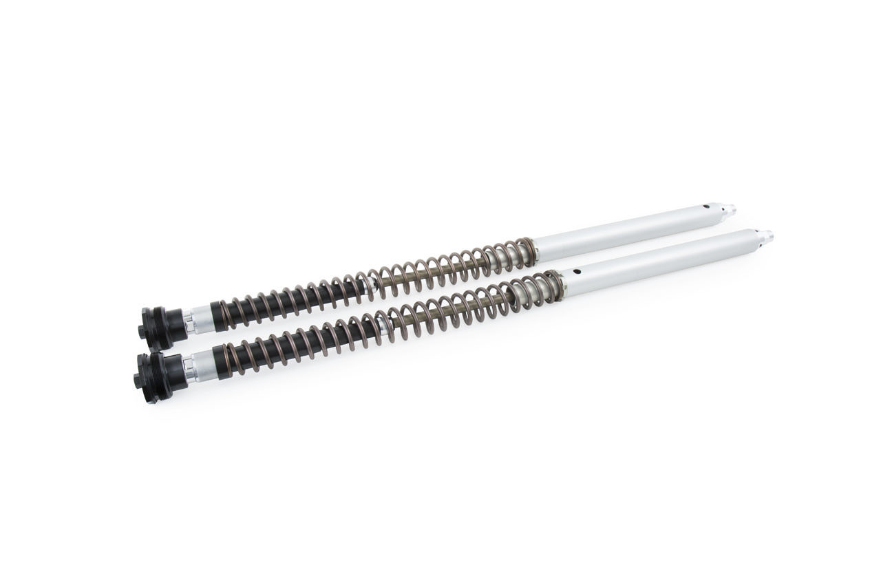 Öhlins Cartucho de horquilla NIX30A Ducati Desert X 2022-25