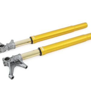 Öhlins Horquilla FGR200 Yamaha YZF R1 2015-24 / YZF R6 2017-26