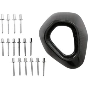 Akrapovic Tapa de repuesto de carbono