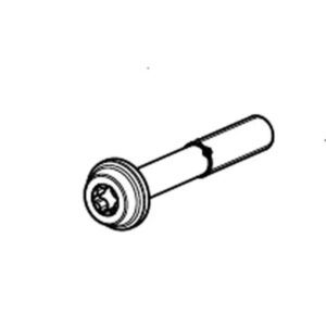 Akrapovic Tornillo de montaje deL perno