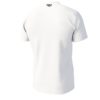 Camiseta IXON TS2 BRAD 24 WHITE - Imagen 2