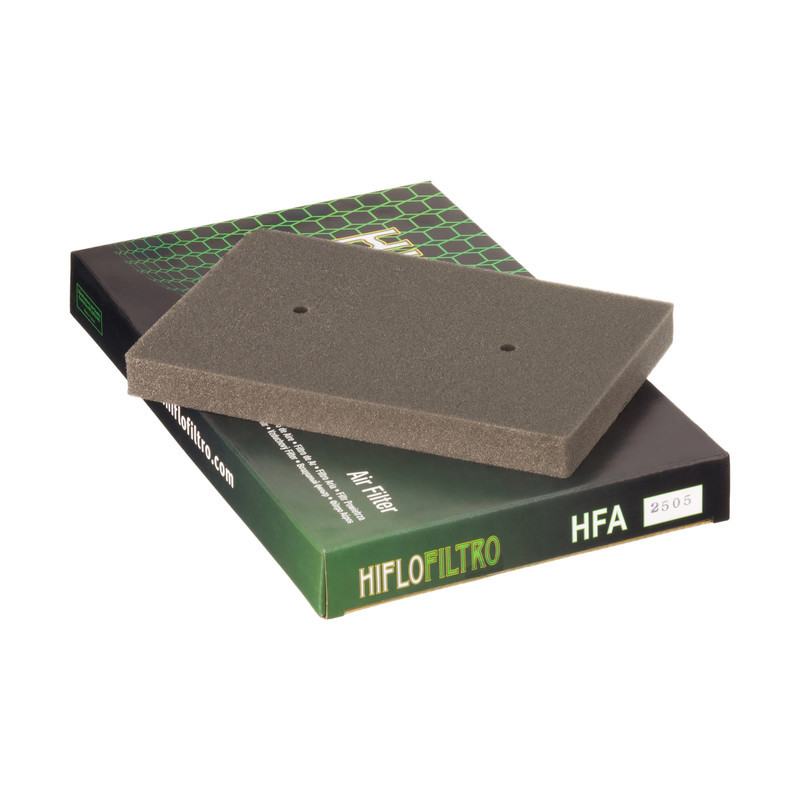 FILTRO DE AIRE HIFLOFILTRO HFA2505